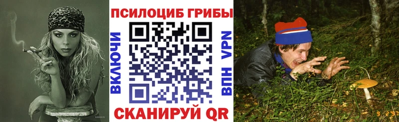 Псилоцибиновые грибы Psilocybine cubensis  Буй 
